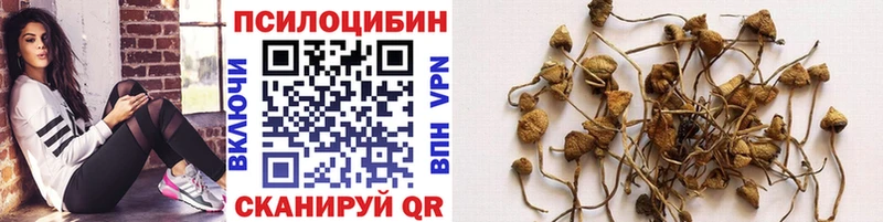 МЕГА   Губаха  Псилоцибиновые грибы Magic Shrooms 