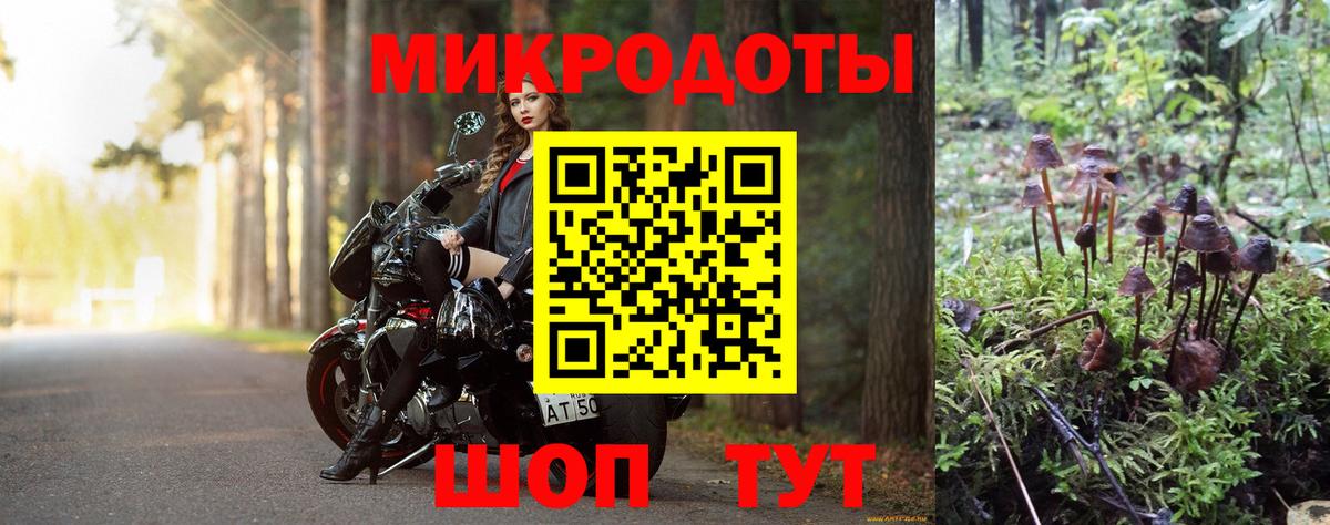 Галлюциногенные грибы прущие грибы Губаха