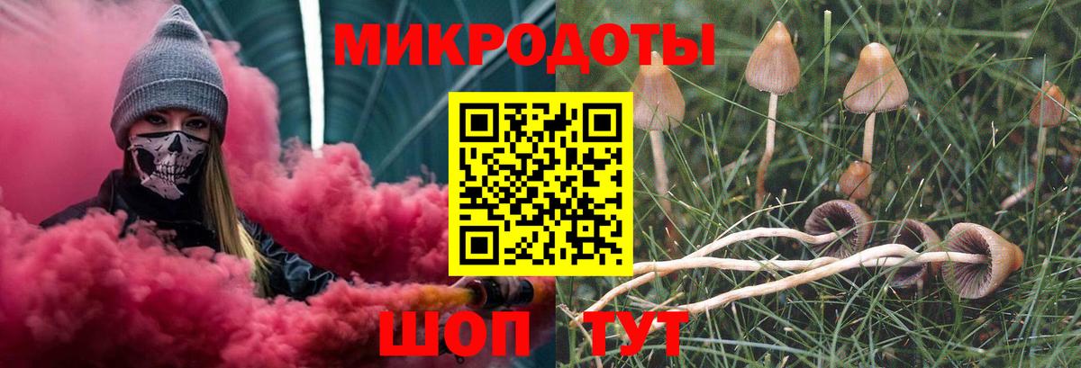 Губаха  Псилоцибиновые грибы прущие грибы  Вход с VPN  Галлюциногенные грибы ЛСД 